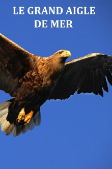 Le grand aigle de mer Trailer