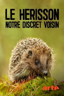 Le hérisson, notre discret voisin Trailer