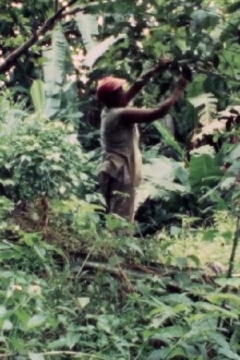 Le Jardin Trailer