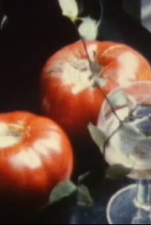 Le Jardin (du Paradis) The Garden Trailer