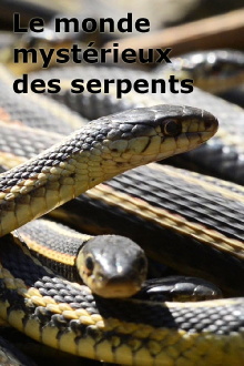 Le monde mystérieux des serpents Trailer