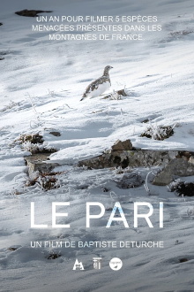 Le pari Trailer