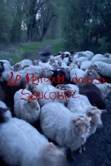 Le Perroquet dans sa Soucoupe (Short Version) Trailer