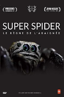 Le Règne de l'araignée Trailer