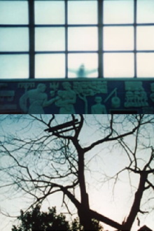 Le temps qu'il fait Trailer