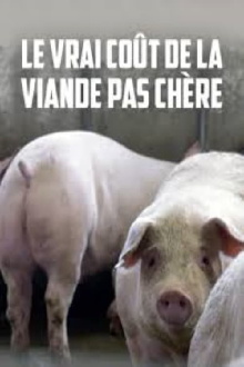 Le vrai coût de la viande pas chère Trailer