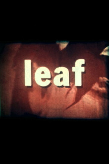 Leaf Trailer