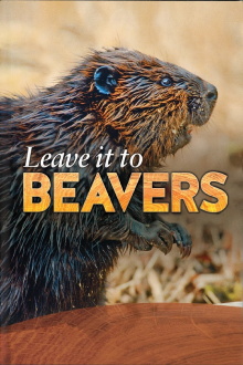 Leave it to Beavers Trailer