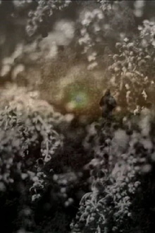 leaving me Trailer