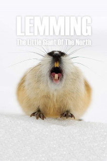 Lemming: The Little Giant of the North Trailer