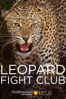 Leopard Fight Club Trailer