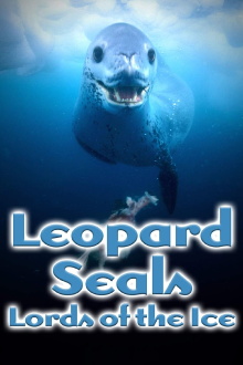 Leopard Seals: Lords of the Ice Trailer