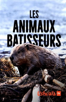 Les Animaux bâtisseurs Trailer