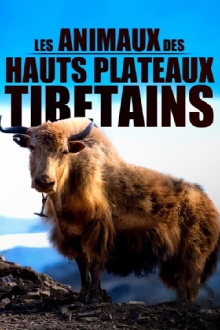 Les animaux des hauts plateaux tibétains Trailer
