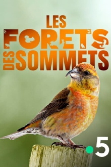 Les forêts des sommets Trailer