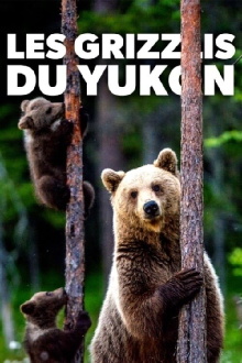 Les grizzlis du Yukon Trailer