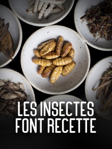 Les insectes font recette Trailer