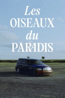 Les oiseaux du paradis Trailer