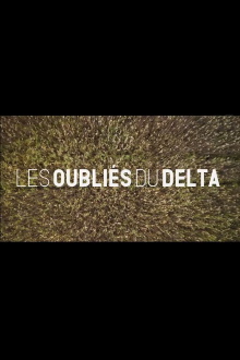 Les oubliés du Delta Trailer