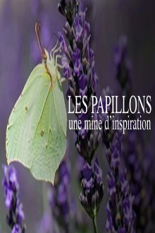 Les papillons, une mine d'inspiration Trailer