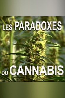 Les paradoxes du cannabis Trailer