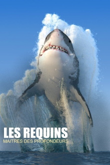 Les requins, maîtres des profondeurs Trailer