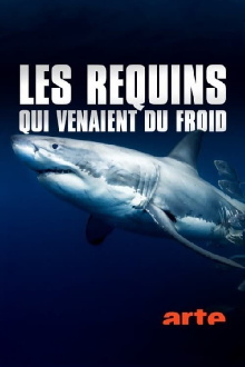 Les requins qui venaient du froid Trailer