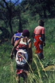 Les Sangomas Trailer