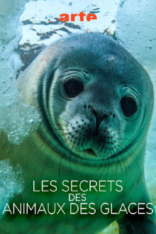 Les Secrets des Animaux des Glaces Trailer