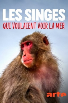 Les singes qui voulaient voir la mer Trailer