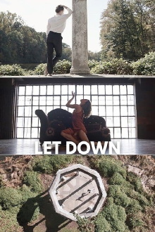 Let Down Trailer