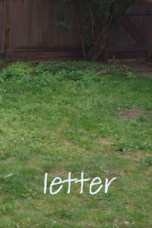 Letter Trailer