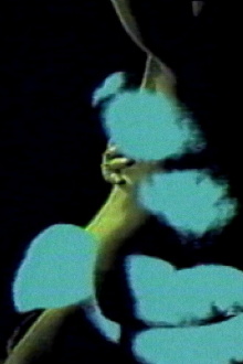 Letter to a Lover Trailer