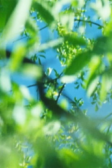 Lettres 16mm Trailer