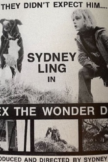 Lex, the Wonder Dog Trailer
