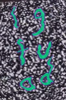 LGFUAD Trailer