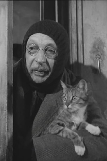 L'Homme au chats Trailer