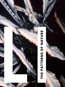 Li: The Patterns of Nature Trailer