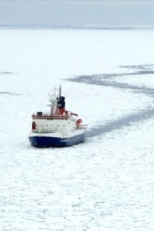 Licence to Krill Trailer