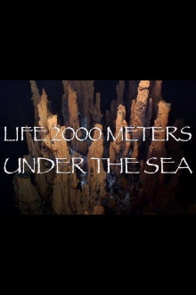 Life 2,000 Meters Under the Sea Trailer