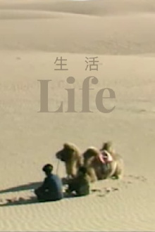 Life Trailer
