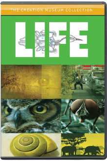 Life Trailer