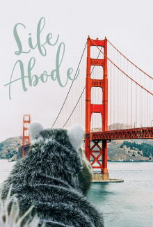 Life Abode Trailer