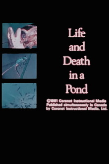 Life and Death in A Pond Trailer