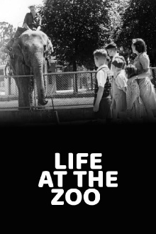 Life at the Zoo Trailer