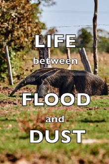 Life between Flood and Dust Trailer