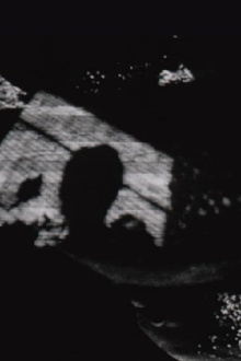 Life/Expectancy Trailer