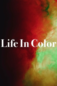 Life In Color Trailer