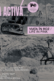 Life in Pink Trailer