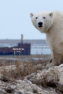Life in Polar Bear Town with Gordon Buchanan Trailer